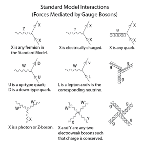Standard_Model_Feynman_Diagram_Vertices